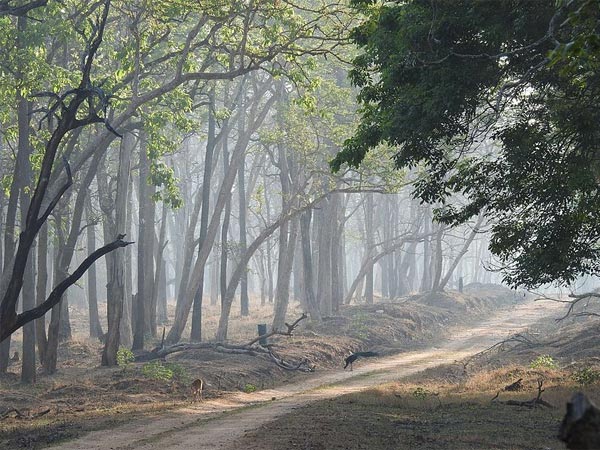 ನಾಗರಹೊಳೆ ರಾಷ್ಟ್ರೀಯ ಉದ್ಯಾನವನವನ್ನು ಸ೦ದರ್ಶಿಸುವುದಕ್ಕೆ ಅತೀ ಪ್ರಶಸ್ತವಾದ ಕಾಲಾವಧಿ