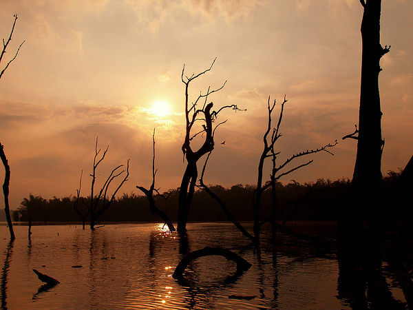 ಪೂರ್ವತಯಾರಿ