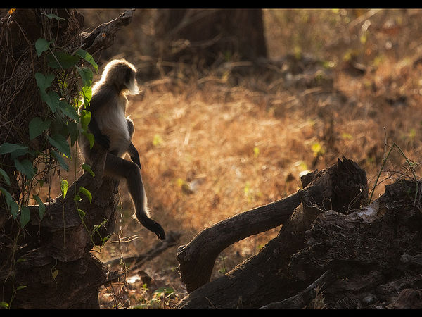 ರಸ್ತೆಯ ಸ್ಥಿತಿಗತಿಗಳು
