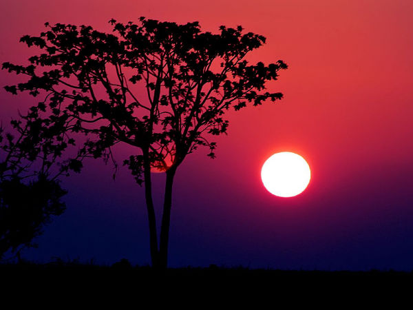 ಏನನ್ನು ನಿರೀಕ್ಷಿಸಬಹುದು ?