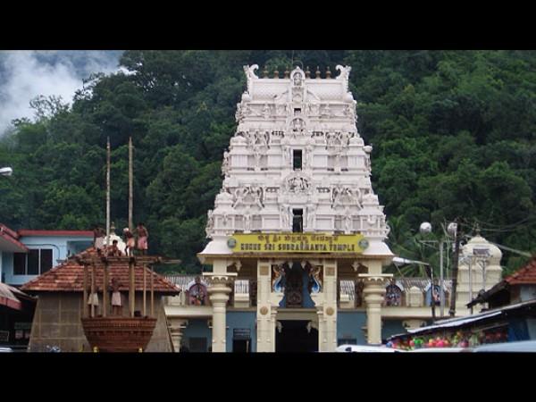 ಎಲ್ಲಿದೆ ನಾಗದೋಷ ಪರಿಹಾರ ಮಾಡುವ ಆ ದೇವಾಲಯ?