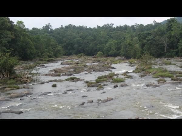 ವಾಸುಕಿ