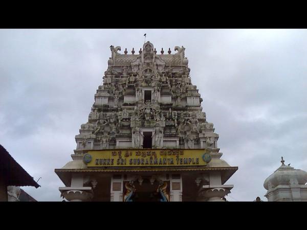 ನಾಗದೇವತೆಗಳ ಆರಾಧನೆ