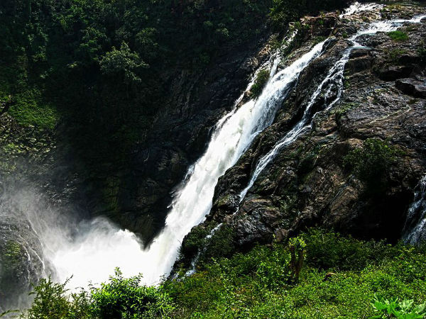 ಆಯ್ಕೆಮಾಡಿಕೊಳ್ಳಬಹುದಾದ ಮಾರ್ಗಗಳ ವಿವರ
