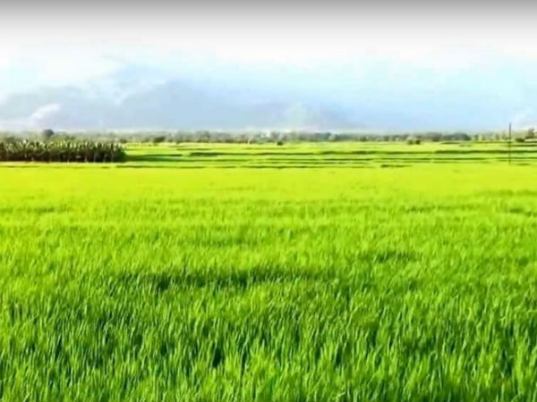 ಸಮೀಪದಲ್ಲಿನ ತಾಣಗಳು