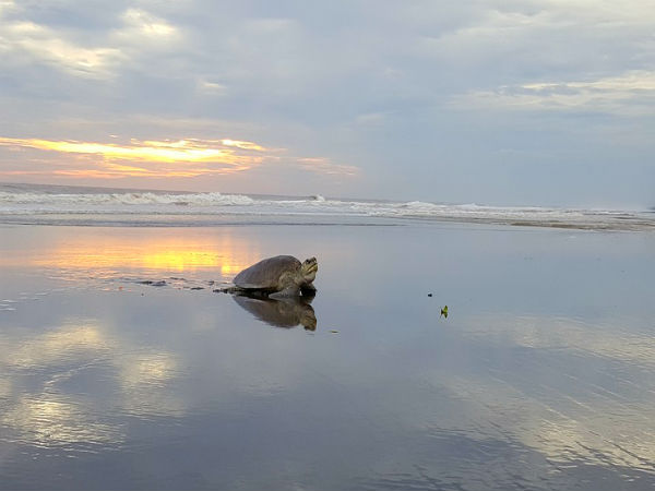 ತಲುಪಬೇಕಾಗಿರುವ ತಾಣ: ವೇಲಾಸ್