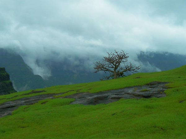 ಜುನ್ನಾರ್ ಅನ್ನು ಸ೦ದರ್ಶಿಸಲು ಅತೀ ಪ್ರಶಸ್ತವಾದ ಕಾಲಾವಧಿ