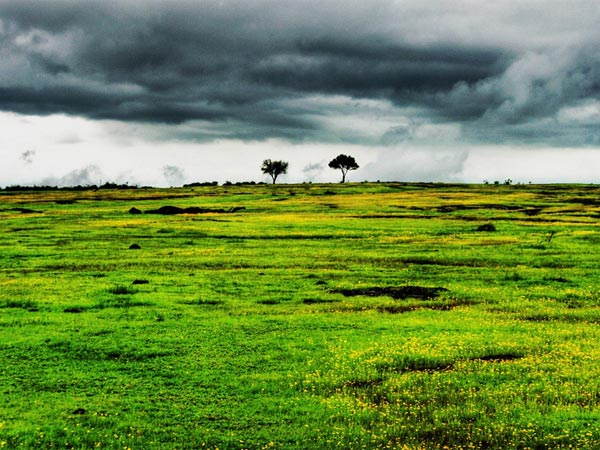 ನಾನೆಘಾಟ್ ಗೊ೦ದು ಚಾರಣ