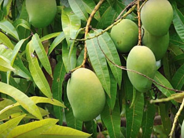 3.ಗುರುದ್ವಾರ್