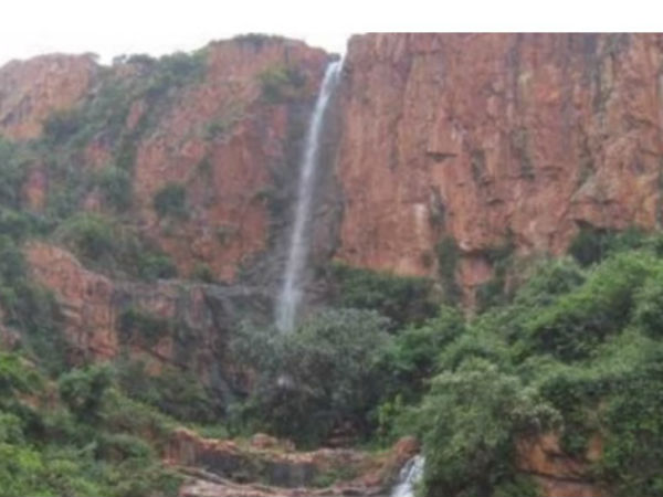ತಿರುಮಲದಲ್ಲಿದೆ ಮಹಿಮಾನ್ವಿತವಾದ ಎಲೆ...