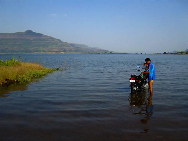 ಪಿಂಪಾಲ್ಗಾನ್ ಜೋಗಾ ಡಾಮ್ ನ ಪಕ್ಷಿಗಳು