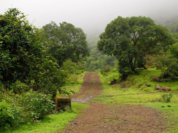 ಲೊನಾವಾಲಾದ ಮೂಲಕ ಚಾರಣ