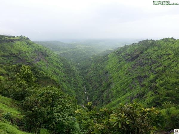 ಕ್ಯಾಮೆಲ್ ಕಣಿವೆ