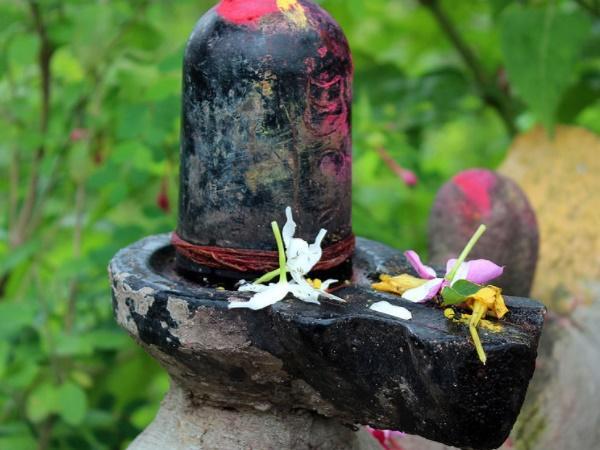 2.ವರ್ಷಕ್ಕೆ ಒಮ್ಮೆ ಬಂಗಾರ ಬಣ್ಣದಲ್ಲಿ ಬದಲಾಗುವ ನಂದಿ!