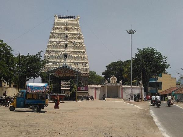 5.ವರ್ಷಕ್ಕೆ ಒಮ್ಮೆ ಬಂಗಾರ ಬಣ್ಣದಲ್ಲಿ ಬದಲಾಗುವ ನಂದಿ!