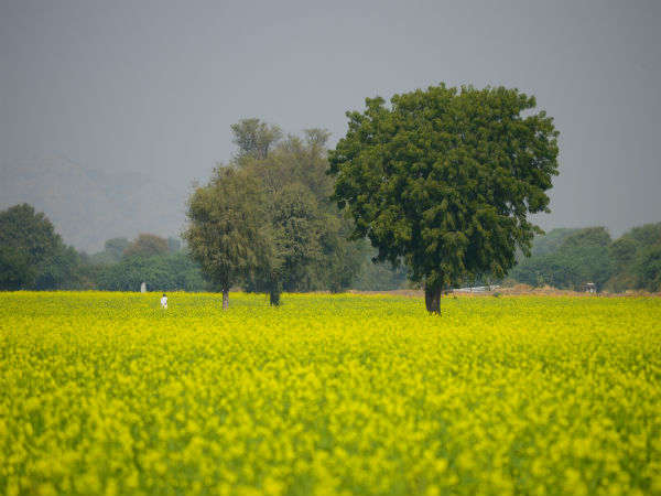 ಫಾರ್ಮ್ ಸ್ಟೇ ನಲ್ಲಿ ವಿಶ್ರಾಂತಿ ಪಡೆಯಿರಿ.