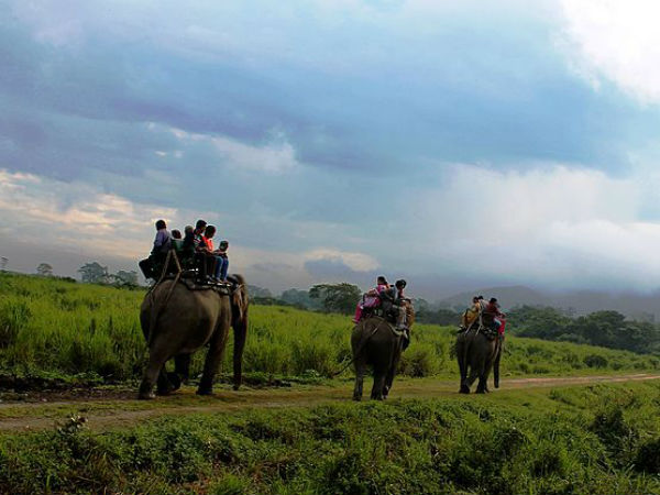 ಕಾಜ಼ಿರ೦ಗಾ ಅಭಯಾರಣ್ಯ