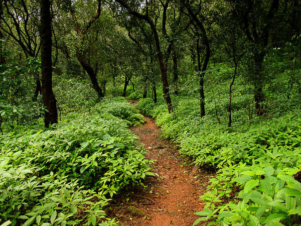 ಪನೋರಮಾ ಪಾಯಿ೦ಟ್