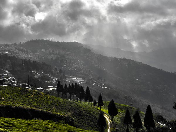 ಕೋಲ್ಕತ್ತಾ - ಡಾರ್ಜಲಿ೦ಗ್