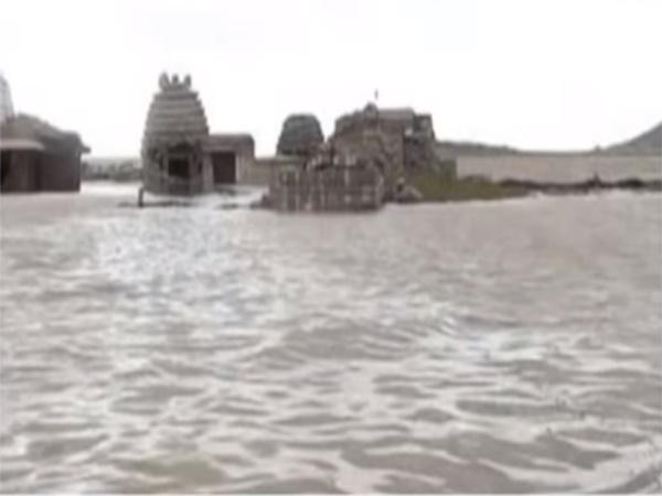 ನಲ್ಲಮಲ ಅಡವಿ