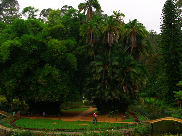 ಕೂನೂರ್ ನಲ್ಲಿ ಮೈಮನಗಳನ್ನು ನಿರಾಳವಾಗಿಸಿಕೊಳ್ಳಿರಿ