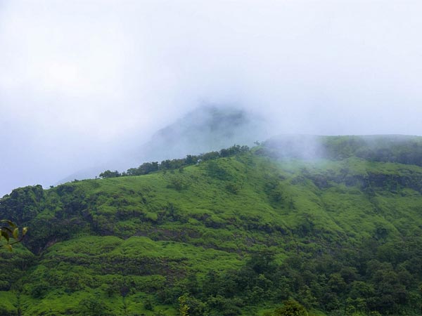 ಕೋಲಾಡ್