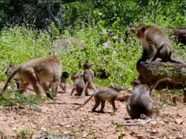ಹದ್ದಿನಕಲ್ಲು ಆಂಜನೇಯಸ್ವಾಮಿ ದೇವಾಲಯ
