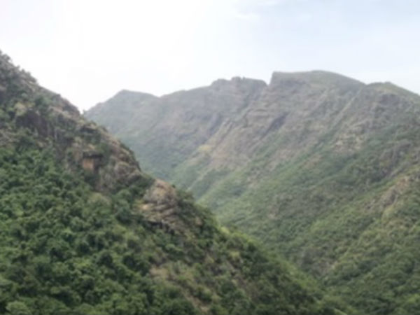 ತಿರುಮಲ ವೆಂಕಟೇಶ್ವರನ ವೈಕುಂಠ ಗುಹಾ ರಹಸ್ಯ...