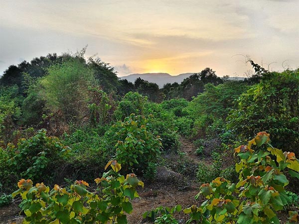 ಪಾಲಿಯಲ್ಲೊ೦ದು ಚಾರಣ