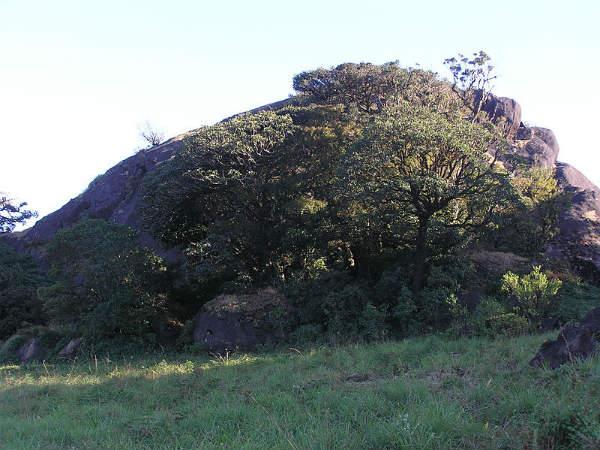ಸೆಲ್ಫಿ ಕ್ಲಿಕ್ಕಿಸಿಕೊಳ್ಳಲು ಸೂಕ್ತವಾದ ಪ್ರದೇಶಗಳು