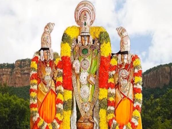 ತಿರುಪತಿ ತಿಮ್ಮಪ್ಪನ ಸೇವೆಯಲ್ಲಿದೆ ಈ ಪ್ರಾಣಿ....