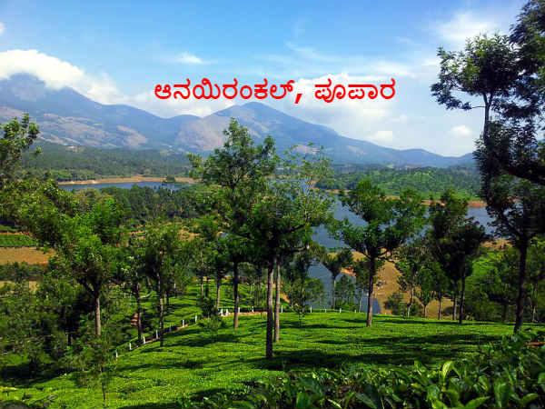 2018ರ ಹೊಸ ವರ್ಷವನ್ನು ಸ್ವಾಗತಿಸಲು ಸೂಕ್ತವಾದ ಸ್ಥಳಗಳು