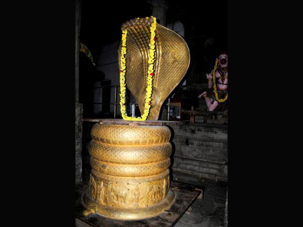 ಮಕ್ಕಳ ಭಾಗ್ಯವನ್ನು ಕರುಣಿಸುವ ಮುದ್ದು ಕೃಷ್ಣನಿವನು.....