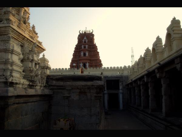 ಮಕ್ಕಳ ಭಾಗ್ಯವನ್ನು ಕರುಣಿಸುವ ಮುದ್ದು ಕೃಷ್ಣನಿವನು.....