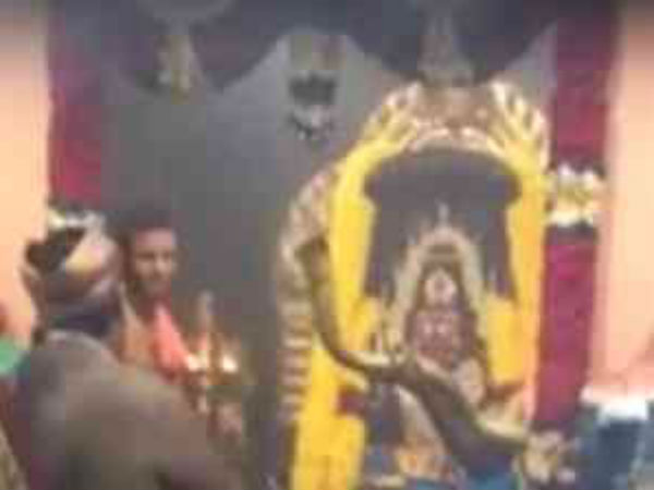 ಆ ದೇವಾಲಯಯನ್ನು ಕಾಯುತ್ತಿರುವ 19 ಅಡಿ ಹಾವು ಎಲ್ಲಿದೆ ಗೊತ್ತ?
