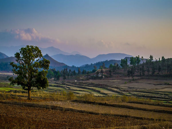 ಅರಕು ಕಣಿವೆ