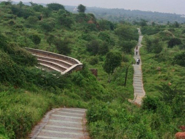 ಅರಾವಳಿ ಜೀವವೈವಿಧ್ಯ ಉದ್ಯಾನವನ, ಗುರುಗ್ರಾಮ್