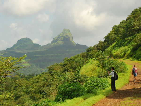 ರಾಜ್ಮಾಚಿ