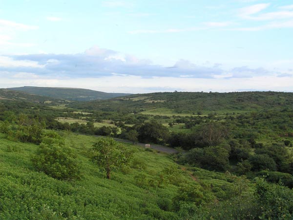 ಶಿರ್ಗಾ೦ವ್ಕರ್ ಪಾಯಿ೦ಟ್
