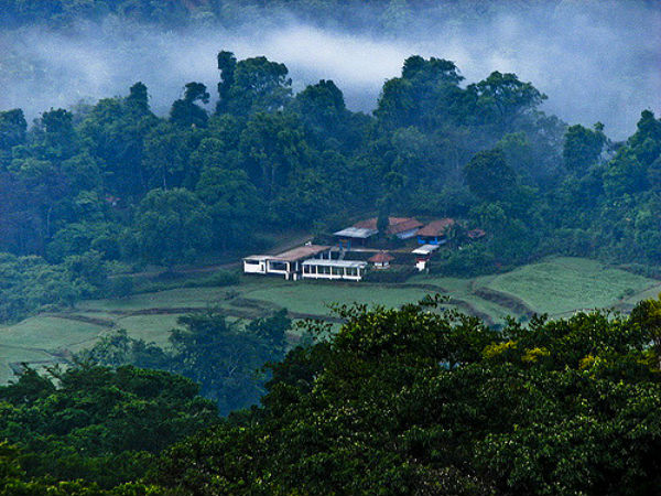ಕೂರ್ಗ್