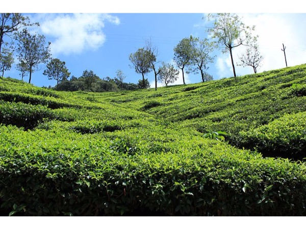 ಕೂನೂರು