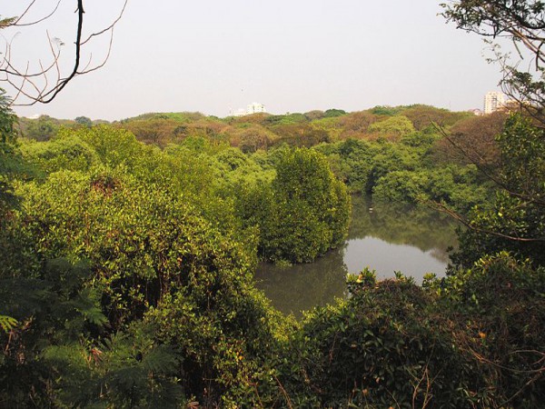ಮ೦ಗಲವನ೦ ಪಕ್ಷಿಧಾಮ
