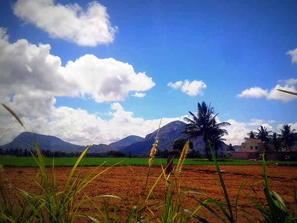 ಚಿಕ್ಕಬಳ್ಳಾಪುರ ದೂರ - 60 ಕಿಮೀ