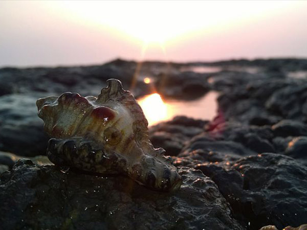 ದಮನ್ ಗೆ ಪ್ರಯಾಣ ಮಾಡಲು ಸೂಕ್ತ ಸಮಯ