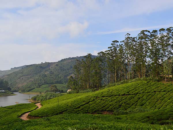 ಮೇಘಾಮಲೈಗೆ ಭೇಟಿ ನೀಡಲು ಉತ್ತಮ ಸಮಯ