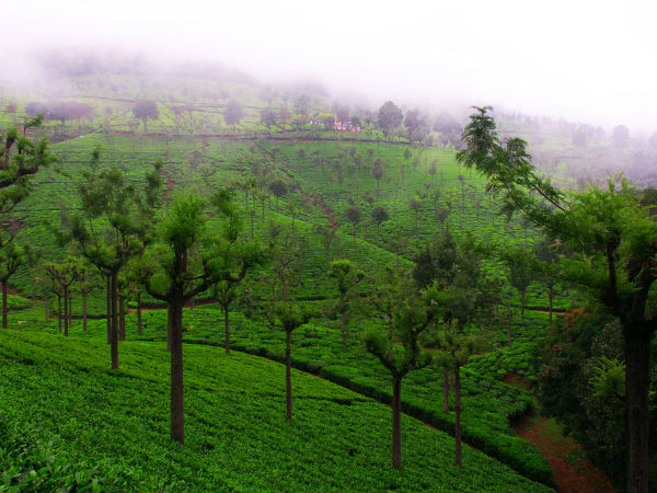 ಕೂನೂರು
