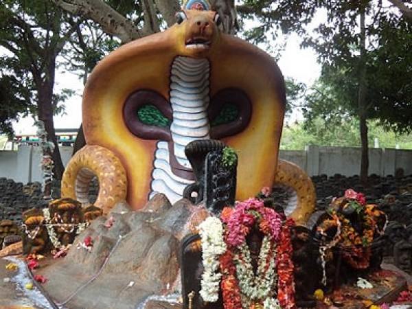 ಜಾತಕದಲ್ಲಿನ ದೋಷಗಳನ್ನು ಪರಿಹಾರ ಮಾಡಿಕೊಳ್ಳಲು ಪ್ರಖ್ಯಾತಿ ಪಡೆದ ಕ್ಷೇತ್ರಗಳು ಇವು...