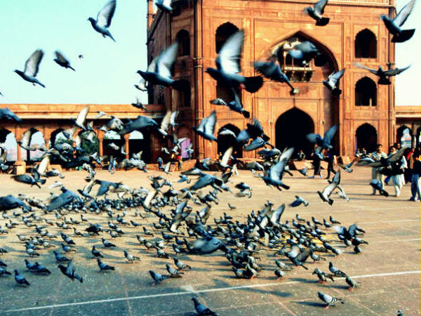 7.ಜಮಾಲಿ-ಕಾಮಾಲಿ ಮಸೀದಿ, ದೆಹಲಿ