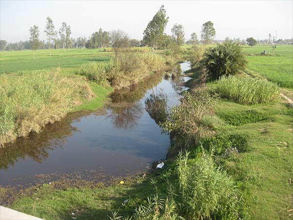 21) ಪ೦ಜಾಬ್