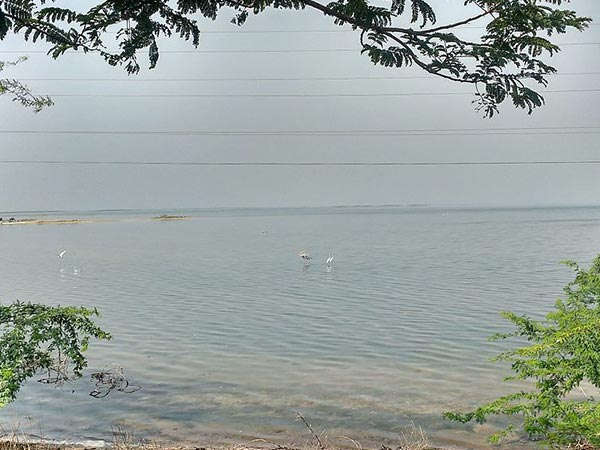 ಚೆನ್ನೈ ನಿಂದ ಪುಲಿಕಾಟ್ ಗೆ ಪ್ರವಾಸ